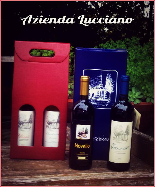 Agriturismo Lucciano San Casciano in Val di Pesa Szoba fotó