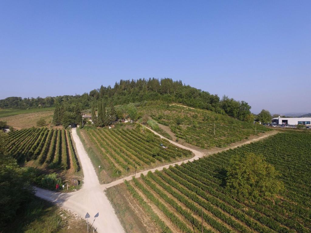 Agriturismo Lucciano San Casciano in Val di Pesa Kültér fotó