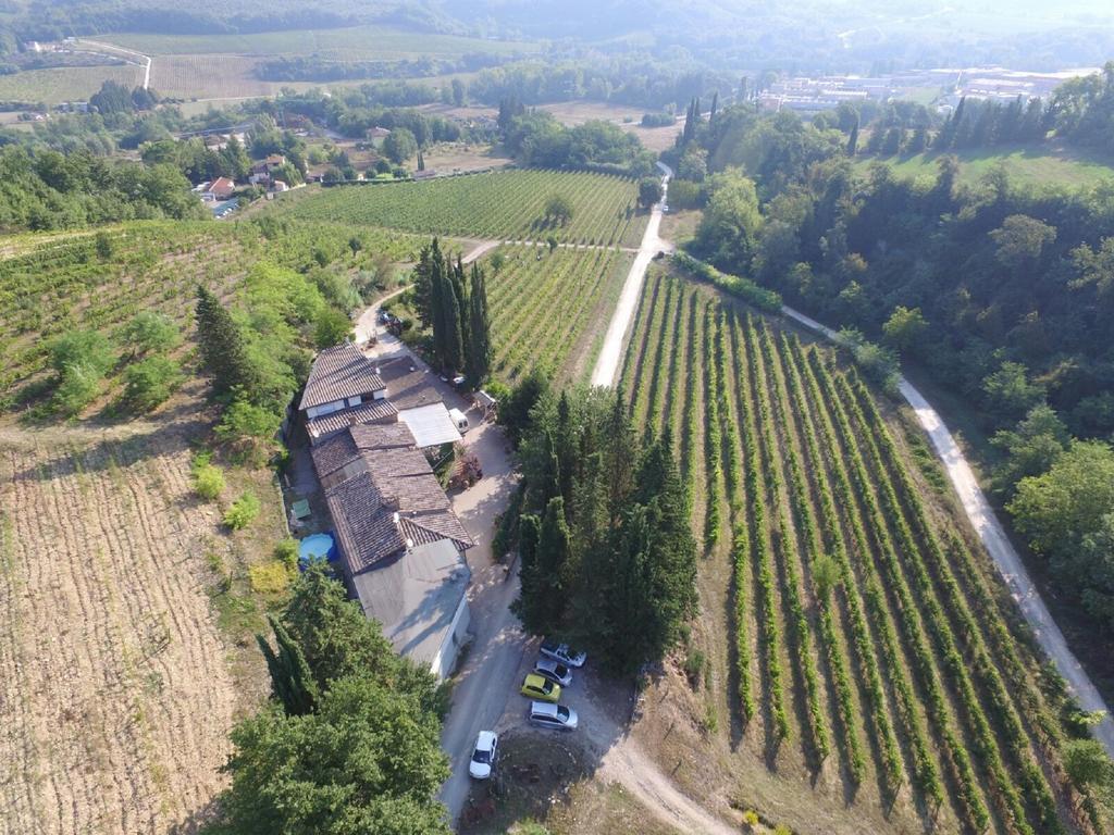 Agriturismo Lucciano San Casciano in Val di Pesa Kültér fotó