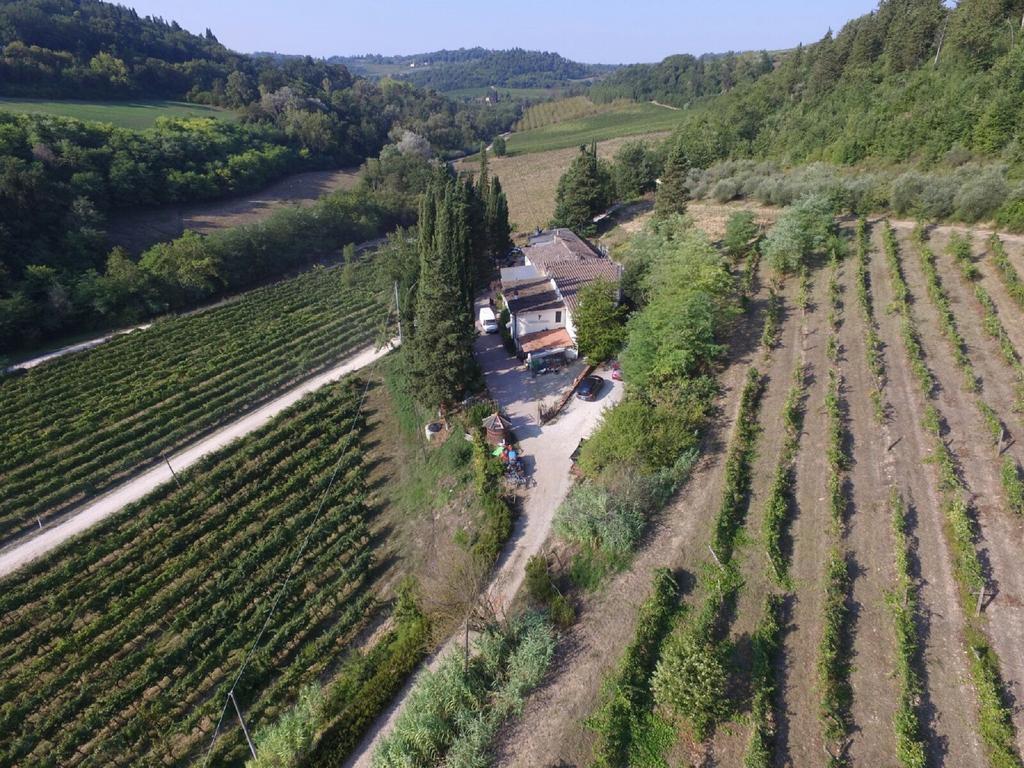 Agriturismo Lucciano San Casciano in Val di Pesa Kültér fotó
