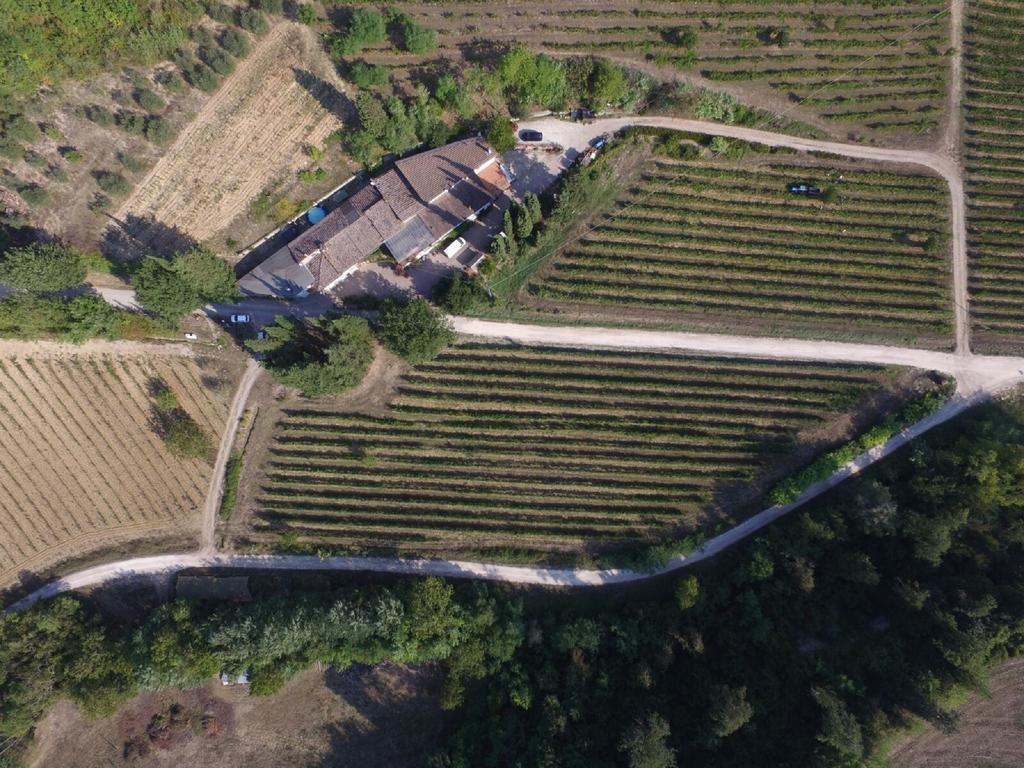 Agriturismo Lucciano San Casciano in Val di Pesa Kültér fotó