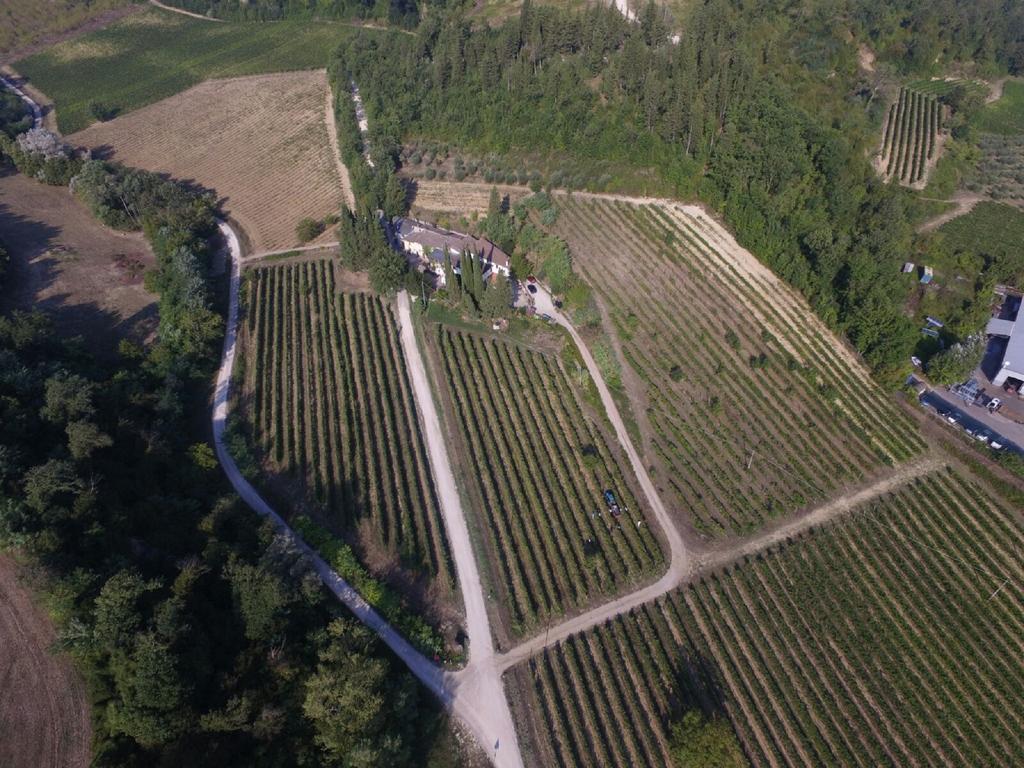 Agriturismo Lucciano San Casciano in Val di Pesa Kültér fotó