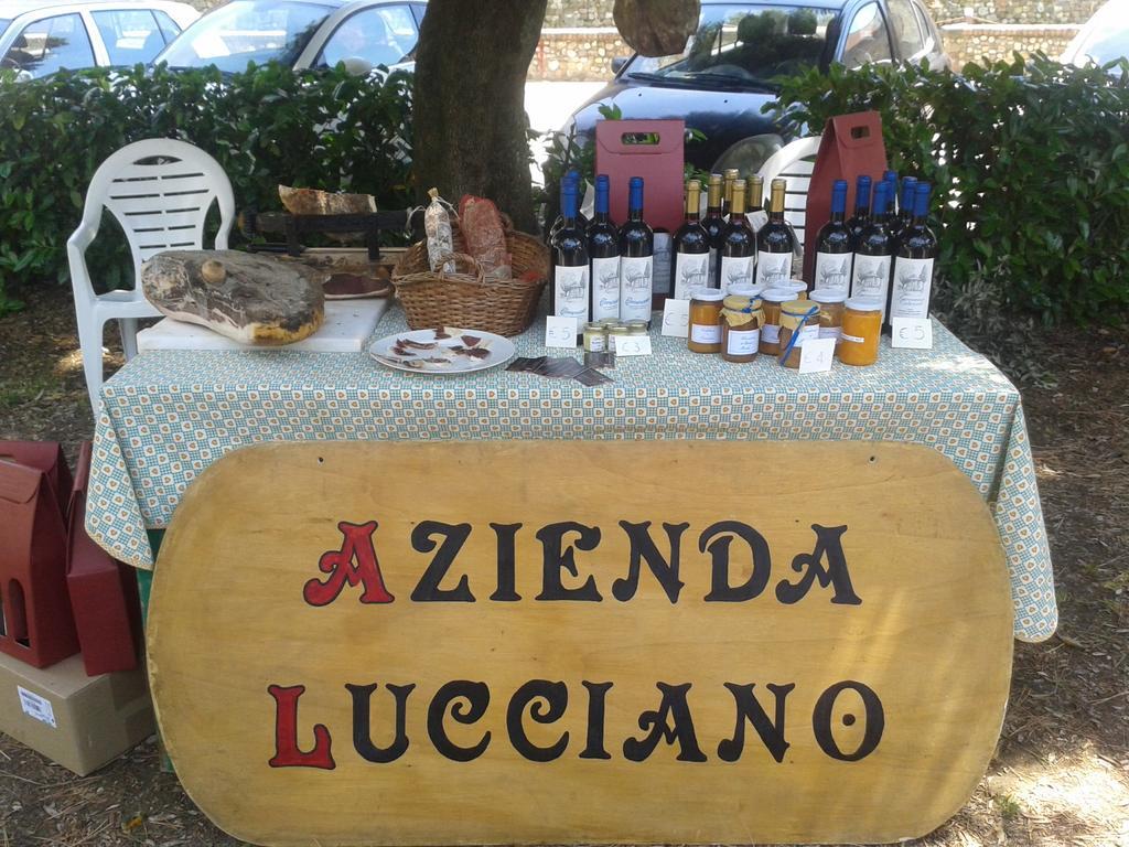 Agriturismo Lucciano San Casciano in Val di Pesa Kültér fotó